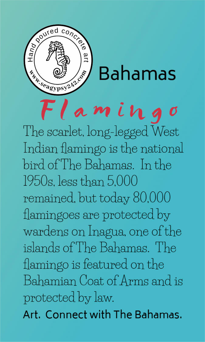 Bahamian flamingo story card